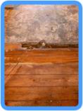 Water Damage Restoration Laurel, MD